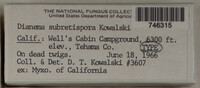 Image Associated With the Occurence